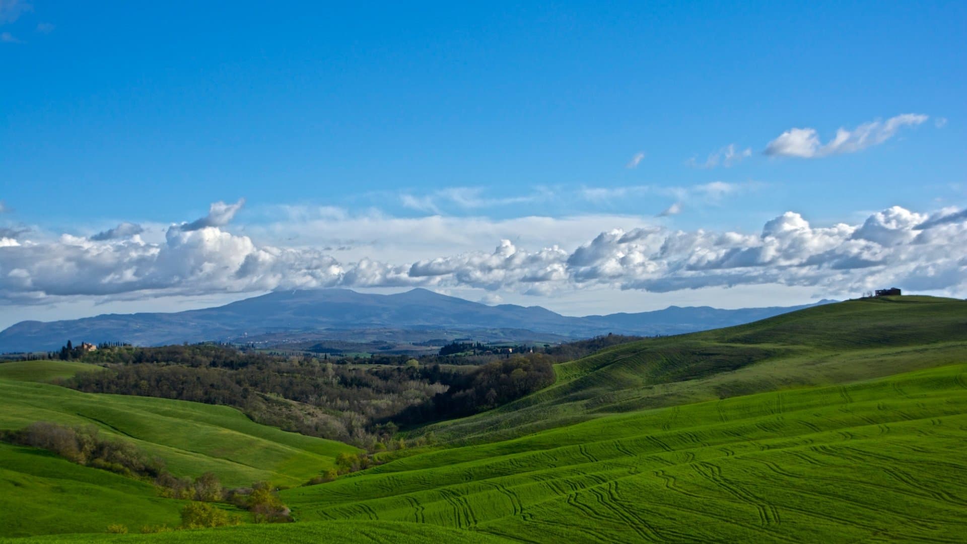 Attraverso i boschi dell’Amiata, immersione nella natura
