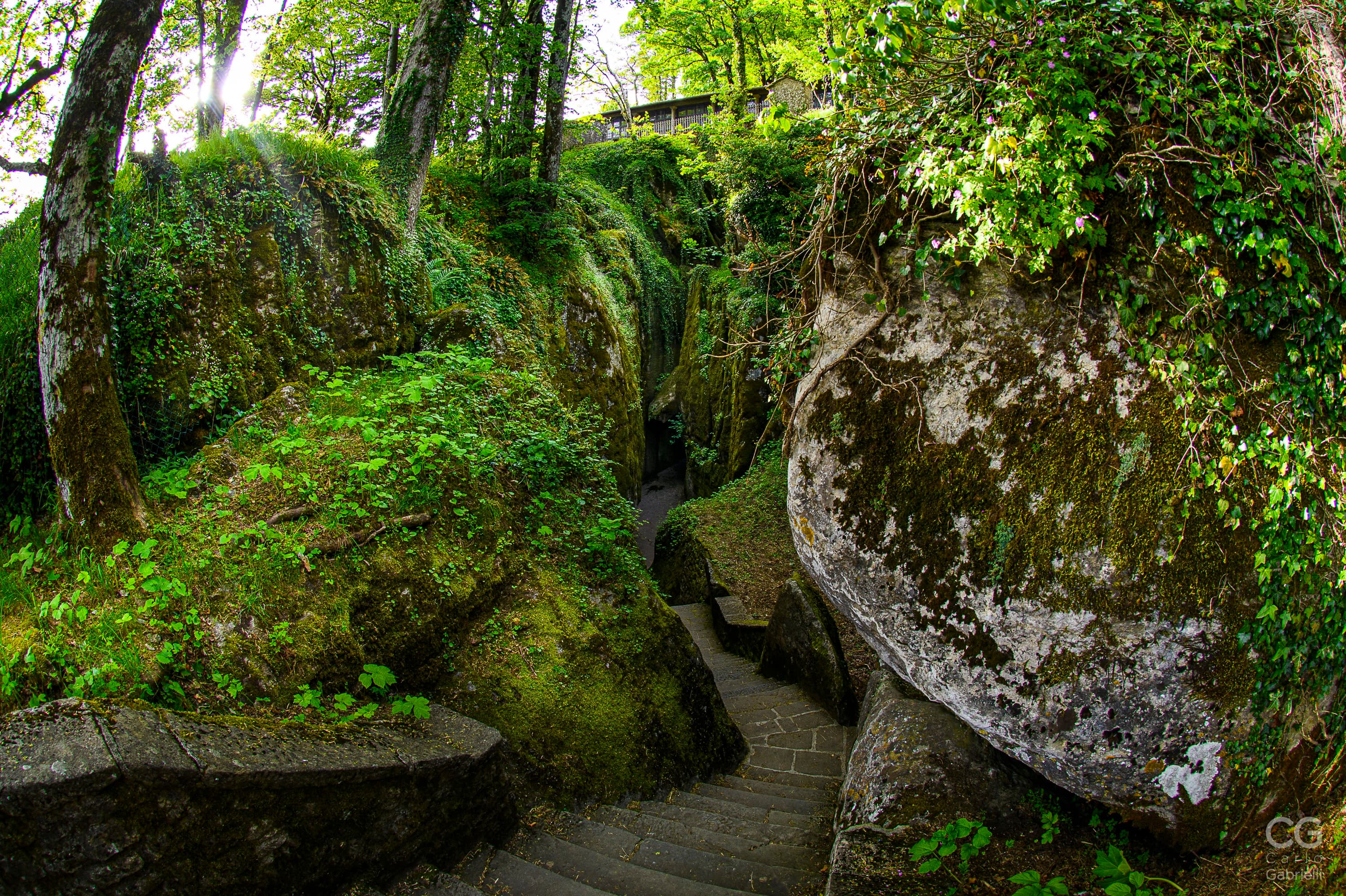 Eine Steintreppe, die in eine enge Spalte zwischen großen, mit Moos und grüner Vegetation bewachsenen Felsen beim Kloster La Verna hinabführt