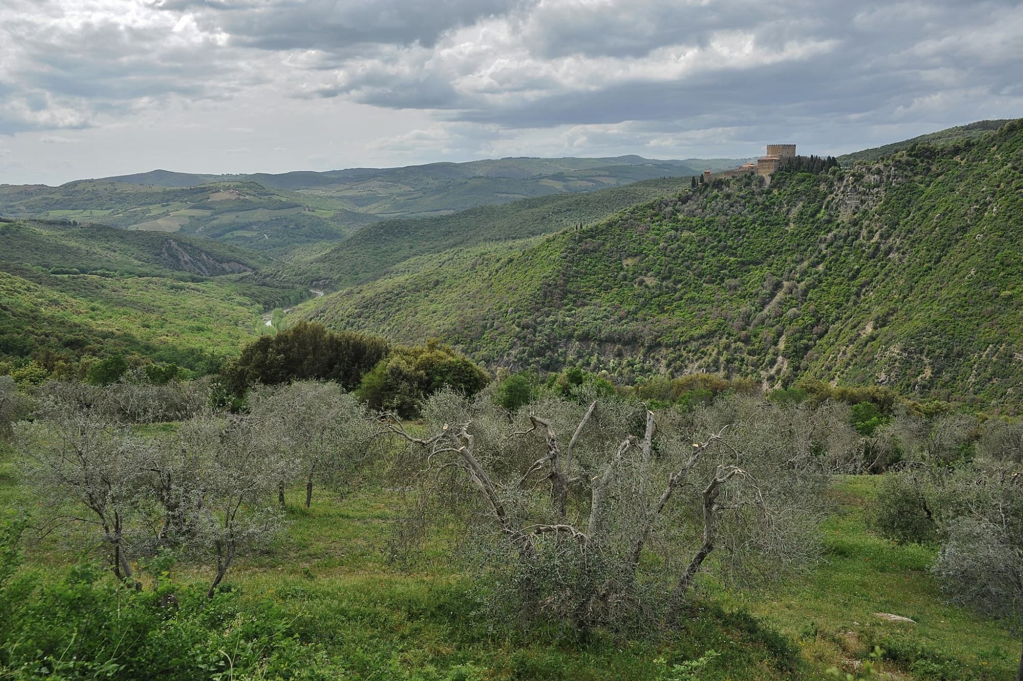 Riserva Naturale Regionale di Ripa d'Orcia