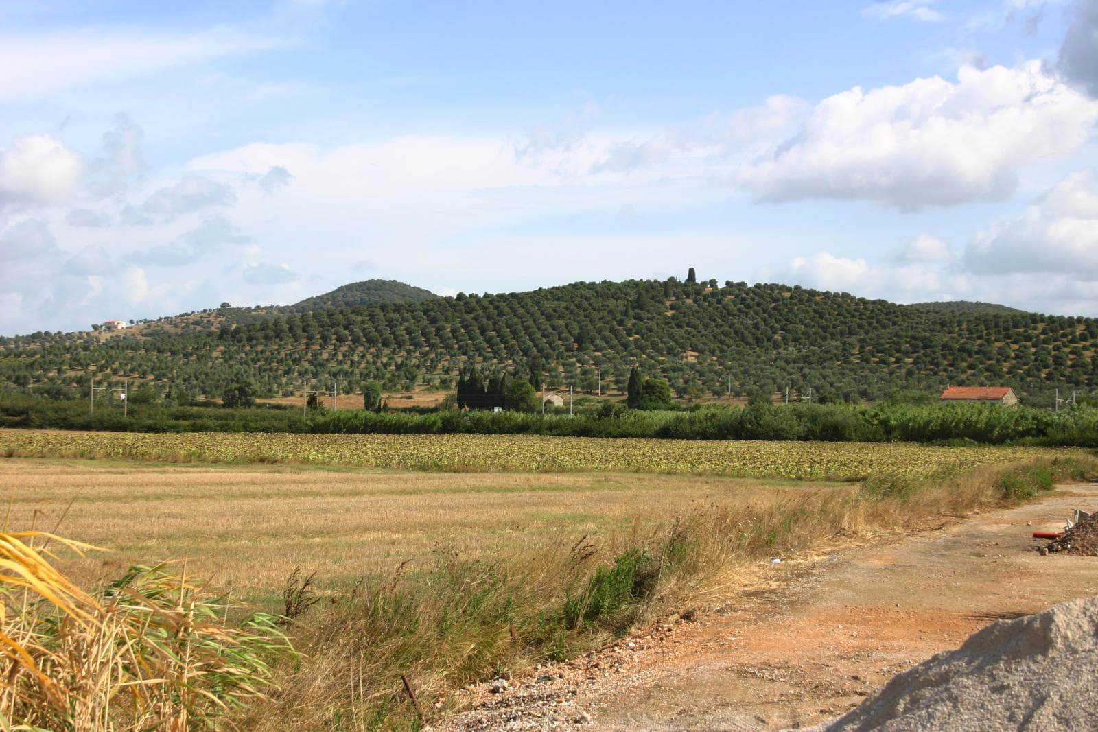 Sterpaia