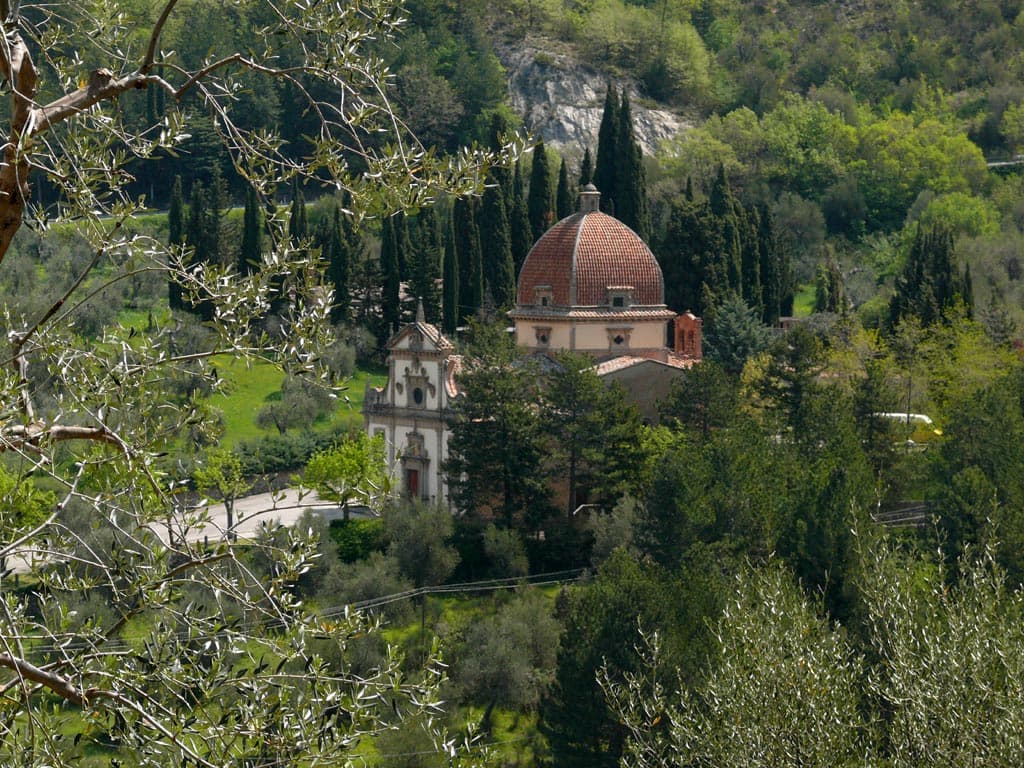 seggiano_z12