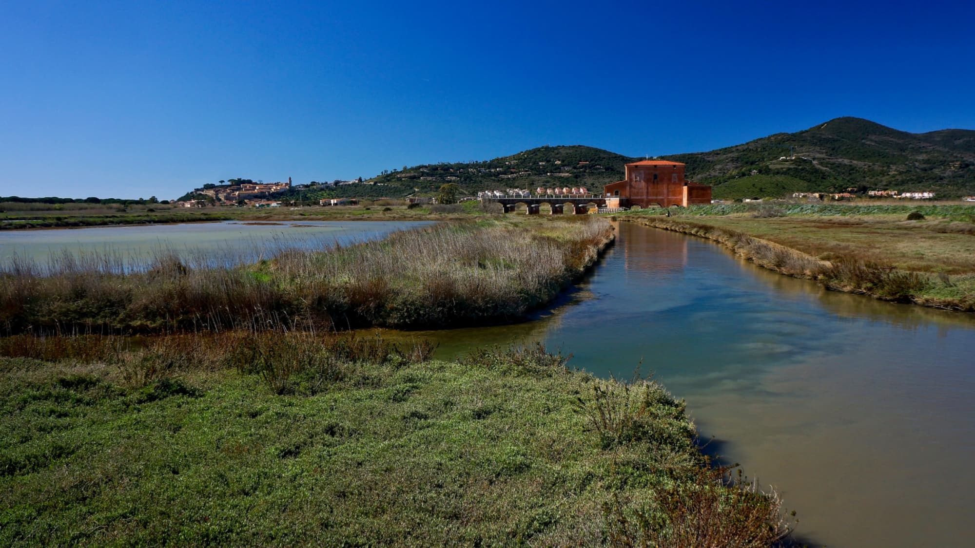 Naturreservat Diaccia Botrona