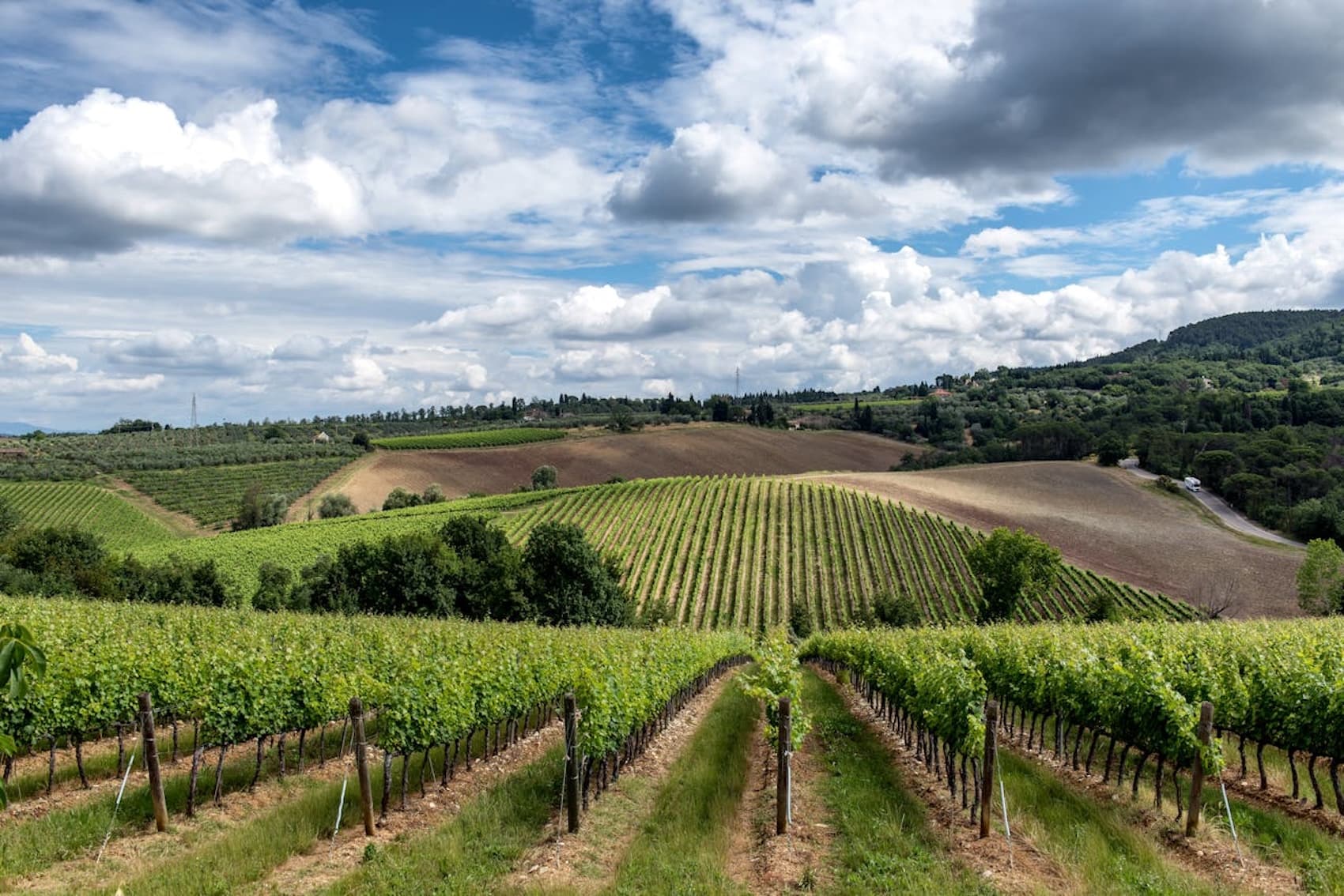 Chianti wine tour from Florence