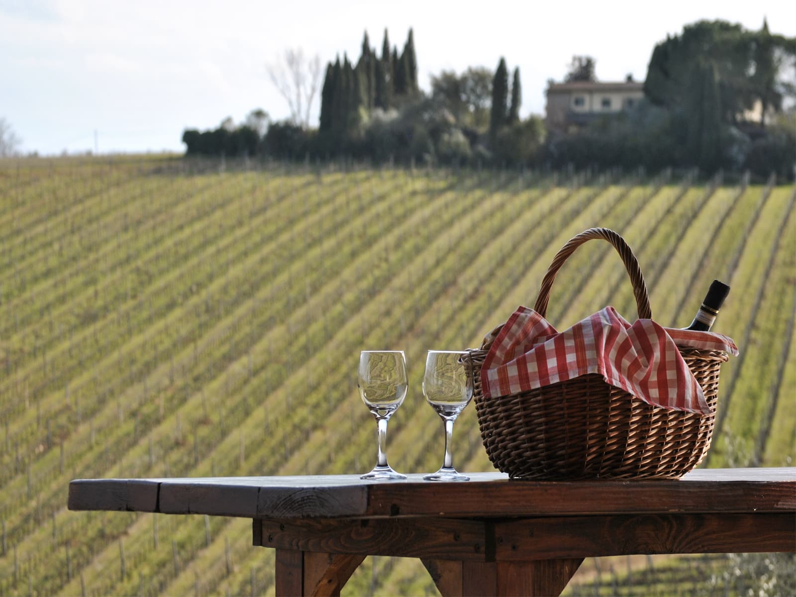 Visita guidata alla tomba Etrusca di Montefiridolfi nel Chianti e merenda in fattoria con vista su vigne