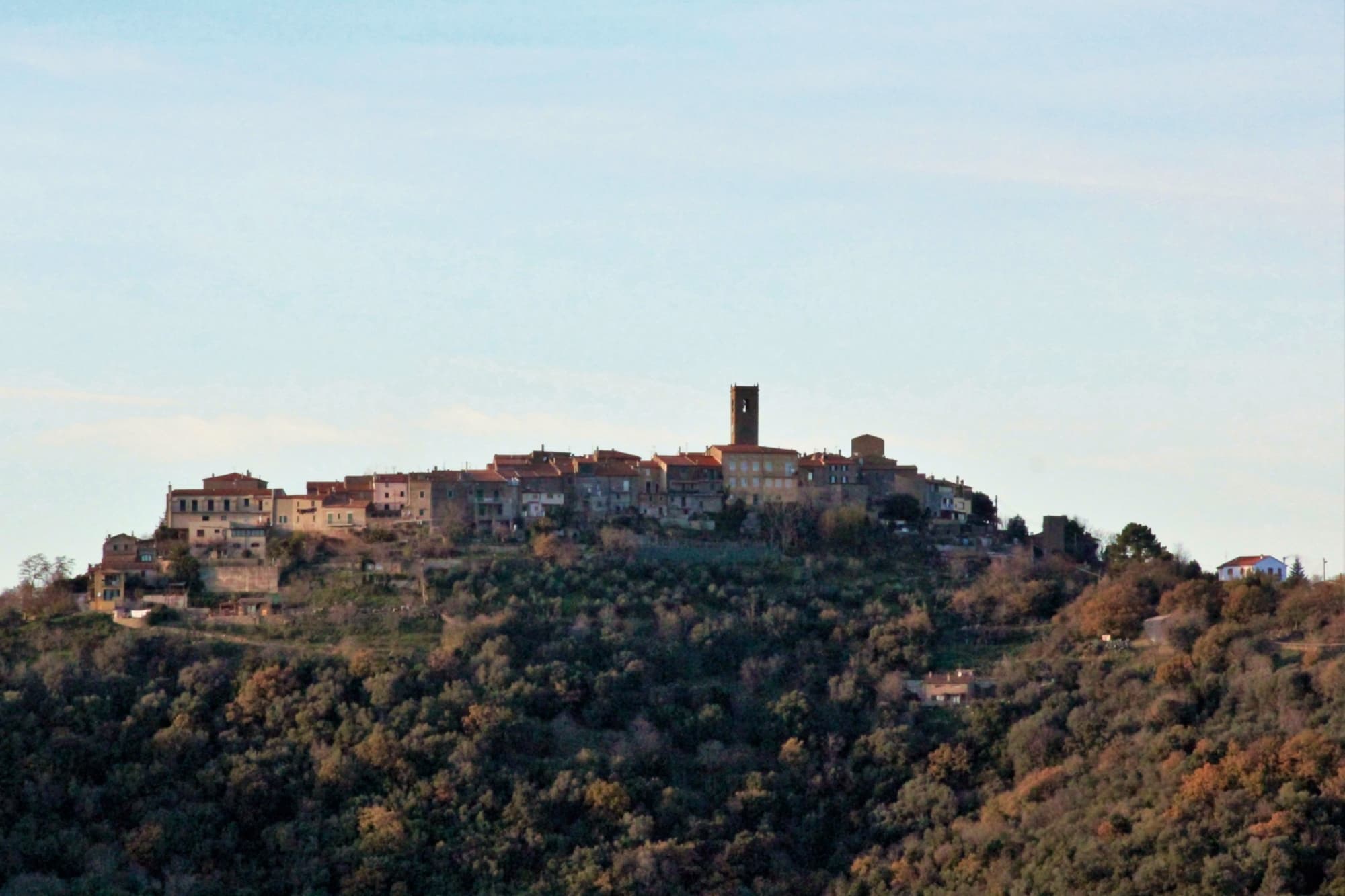 Vetulonia, panorama