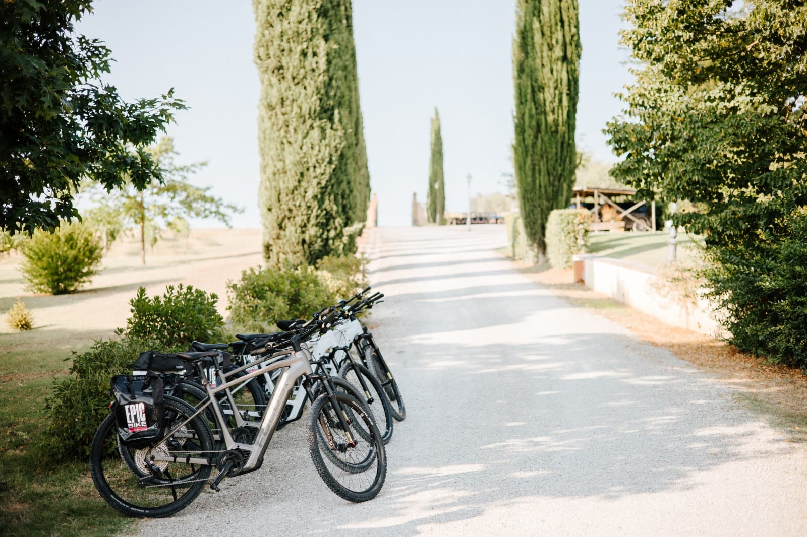 Valdichiana in e-bike tra vigneti e storia