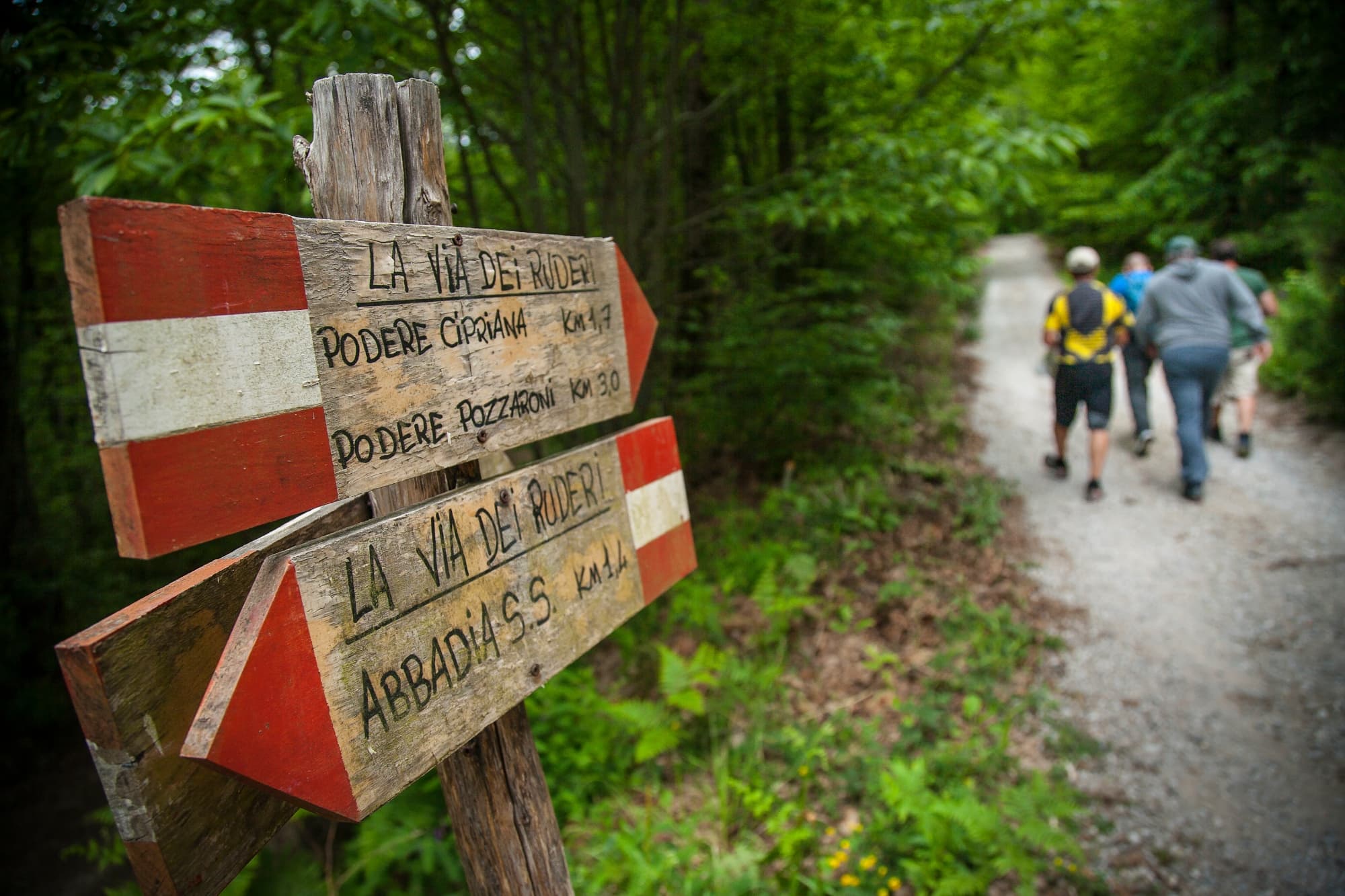 Trekking nei boschi del Monte Amiata