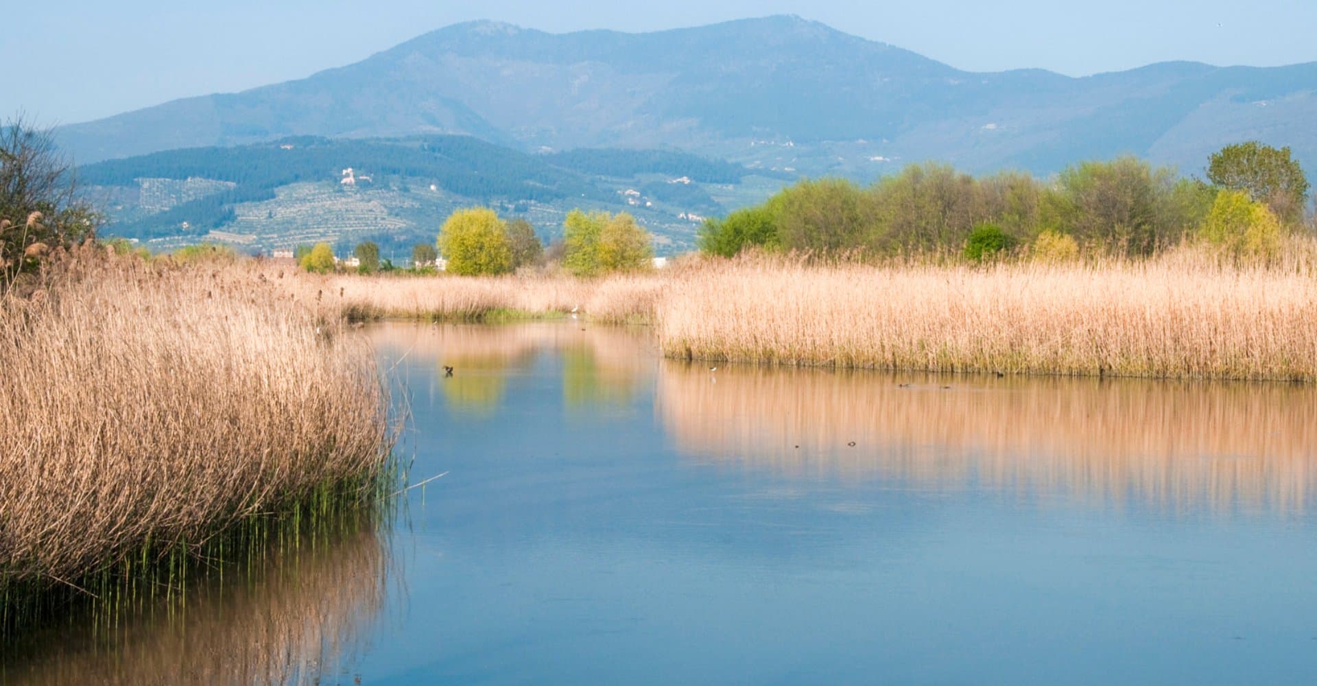 Focognano Nature Reserve