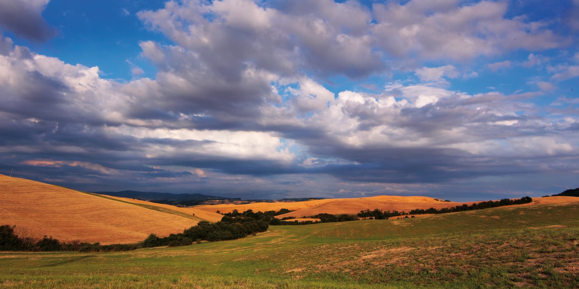 Campagna in zona Peccioli
