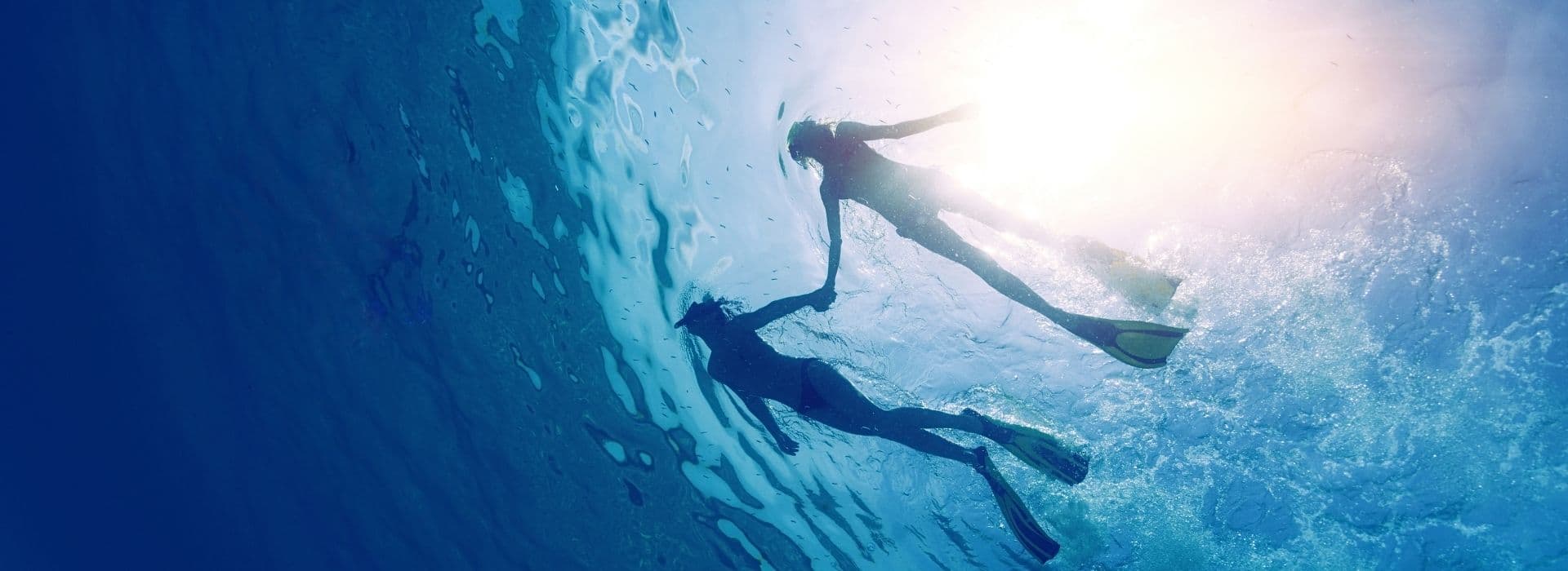 Due persone fanno snorkeling in mare aperto, riprese dal basso in controluce mentre nuotano in superficie con pinne nelle acque cristalline del Golfo di Talamone
