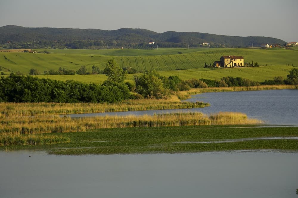 Lago di Santa Luce