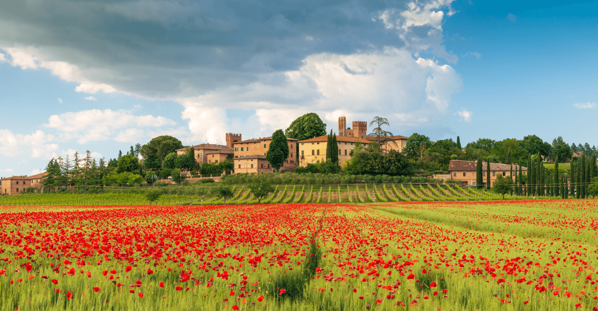 Fin de Semana de senderismo, desde Siena hasta Buonconvento