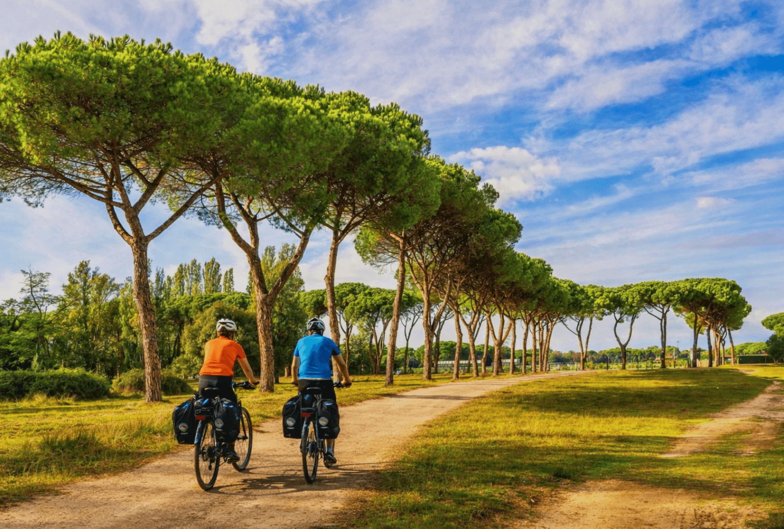 Two cyclists on touring bicycles riding along a dirt track through maritime pine trees in the Maremma countryside