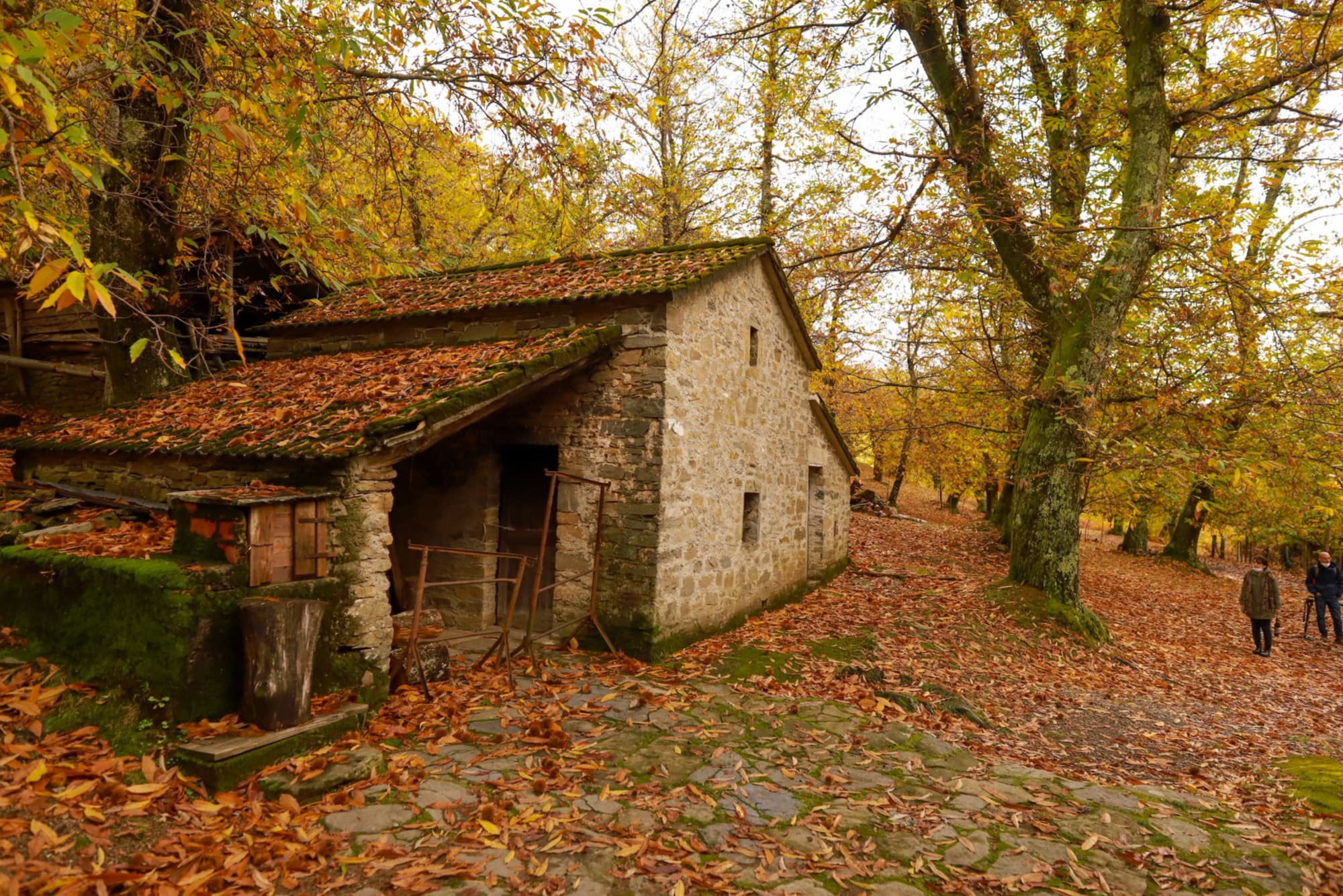 Metati nelle Valli di Zeri
