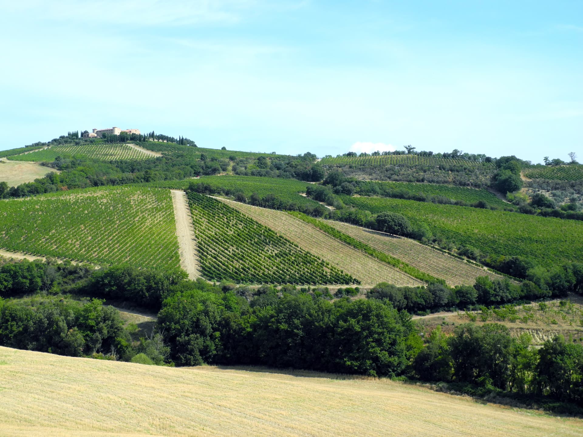 vigneti di Colle Massari