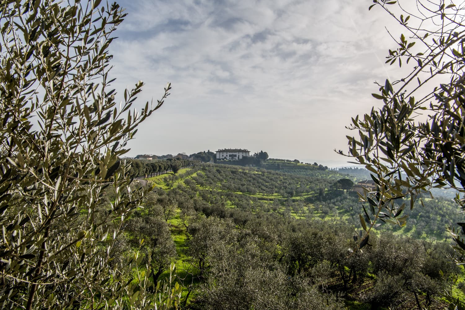 Le colline di Artimino