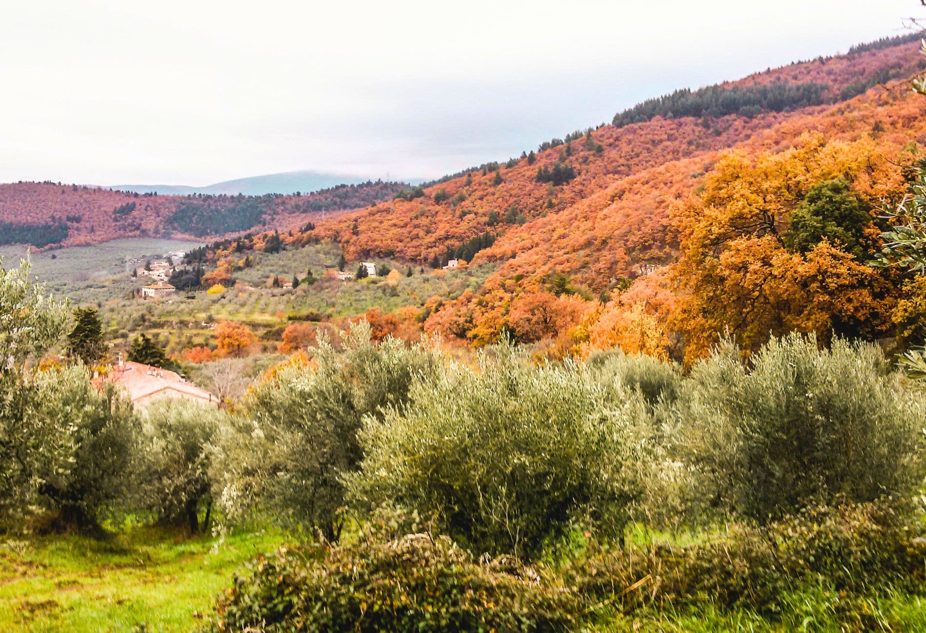 Collines du Mont Morello en automne