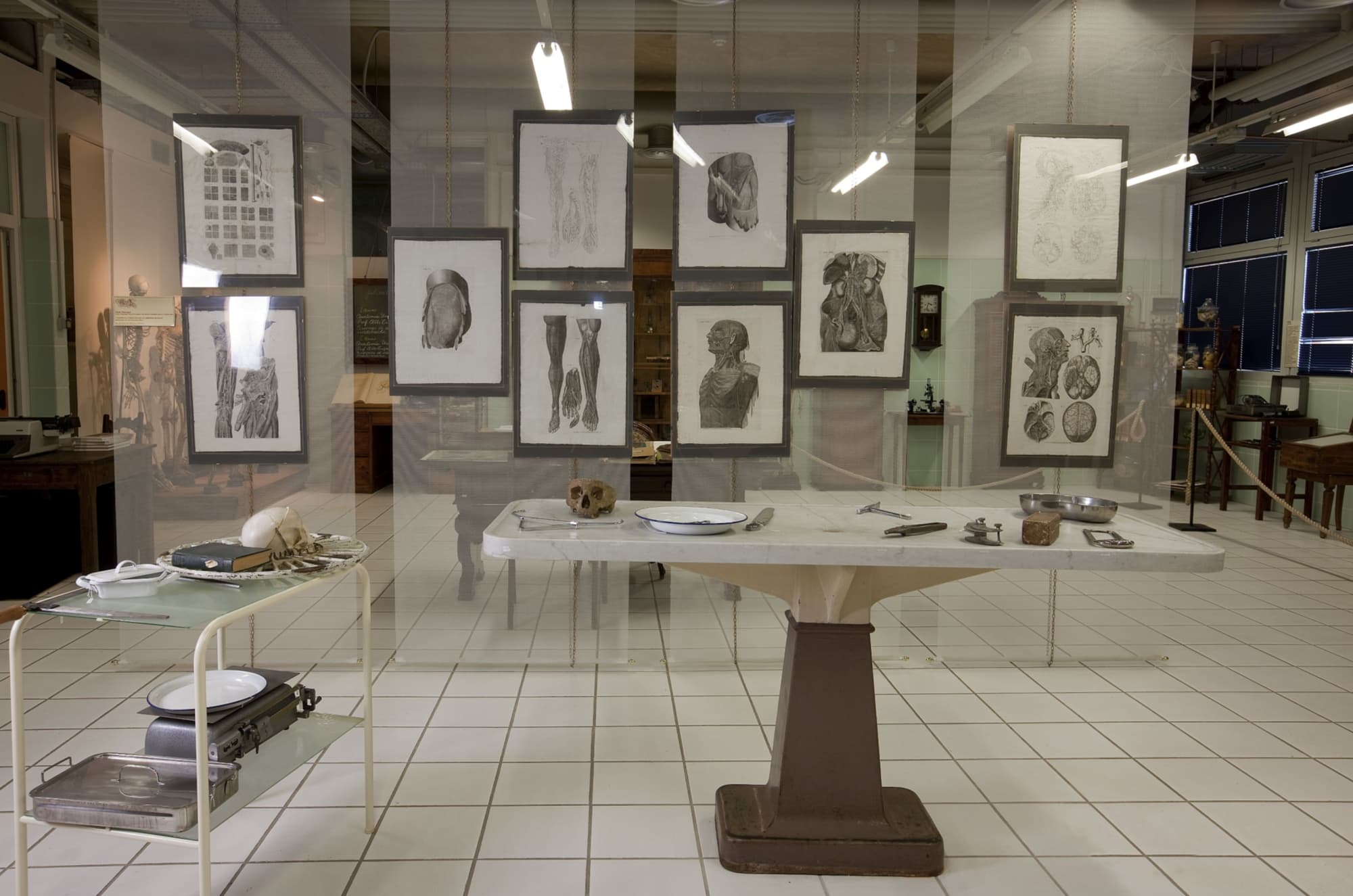 Tavolo anatomico del 1930