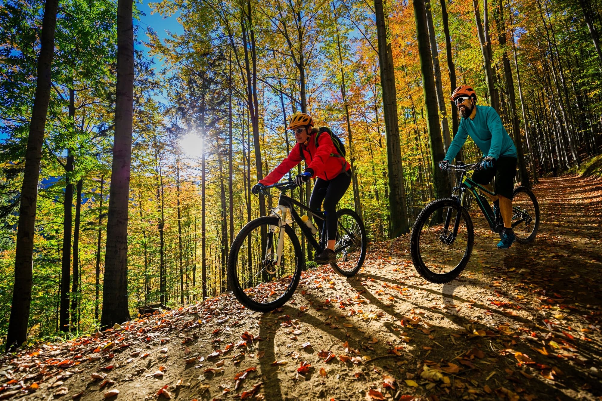 Percorsi trekking e bike sull'Abetone