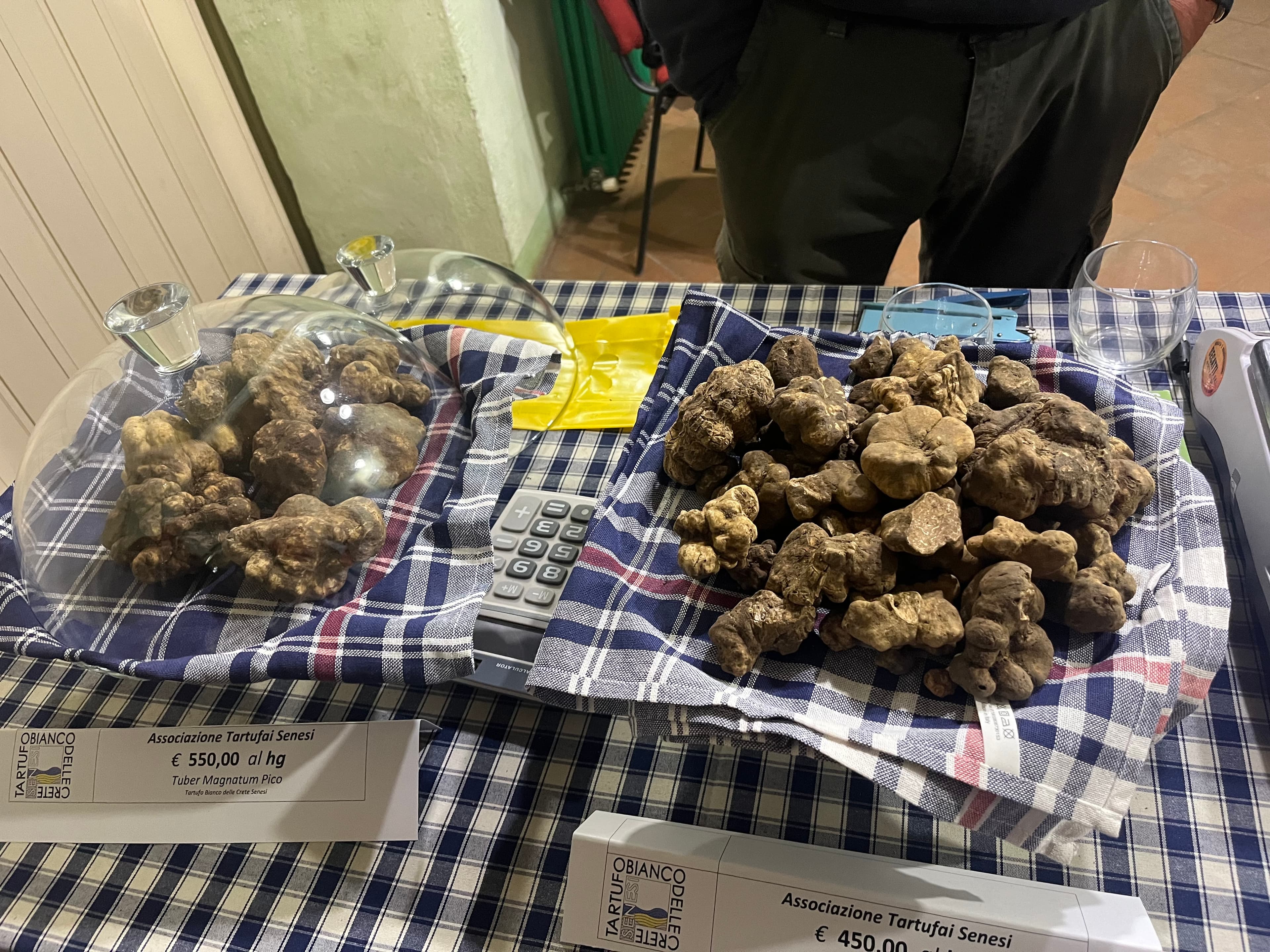 Esemplari di tartufo bianco Tuber Magnatum Pico di varie dimensioni esposti su tovaglia a quadri allo stand dell'Associazione Tartufai Senesi, con cartellini dei prezzi e campana di vetro, alla mostra mercato di San Giovanni d'Asso