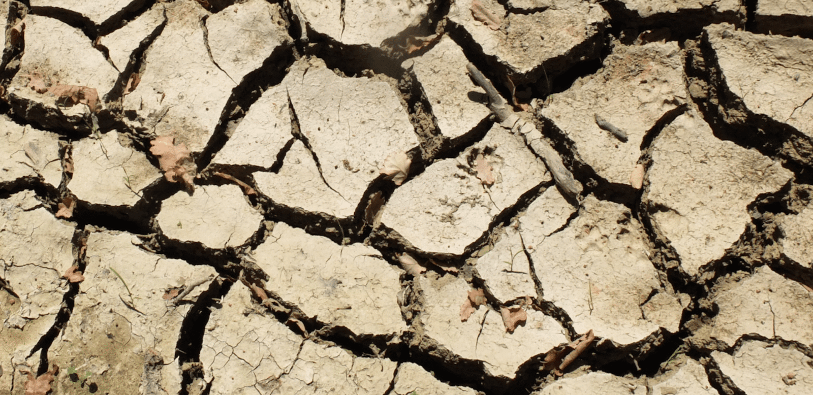 Immagine di terra arida