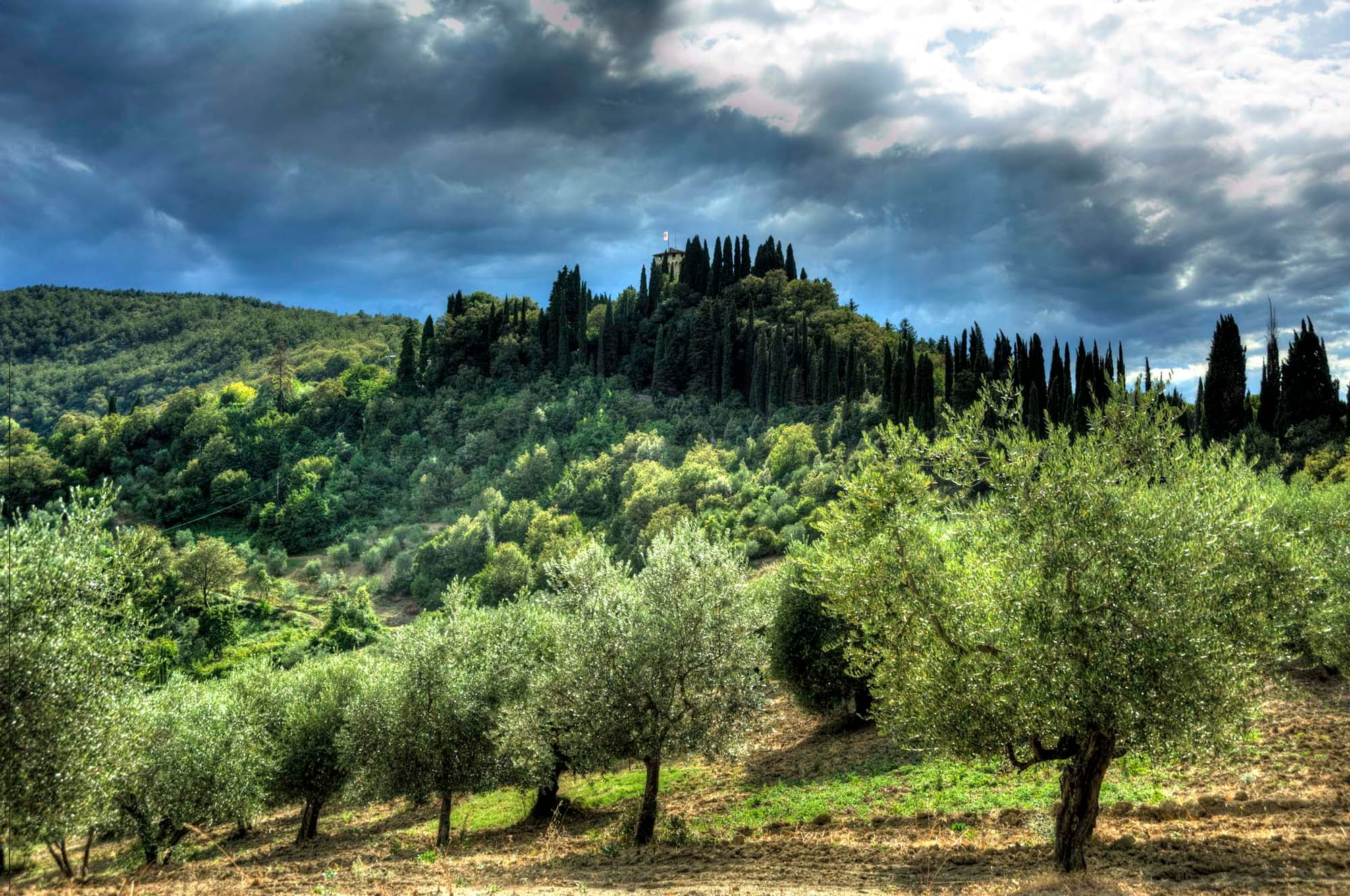 trebbio-2.jpg