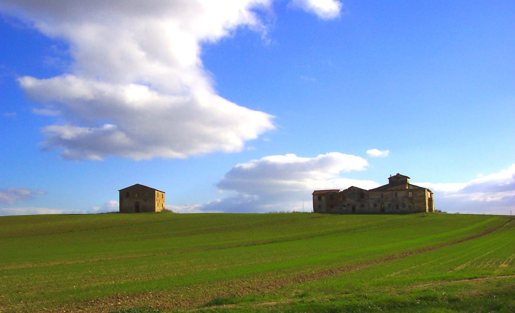 Campagna di Cortona
