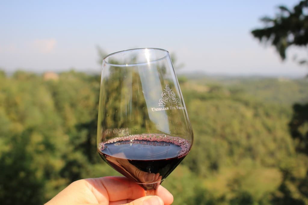 wine-tasting-pisa-1024x682_wp5_16705.jpg