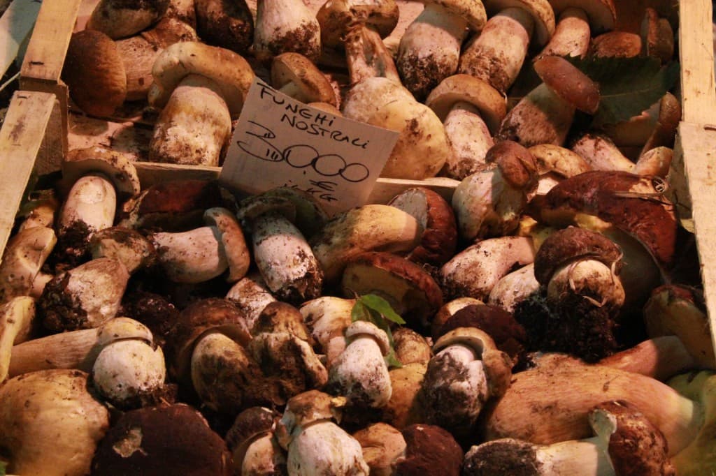 porcini-1024x682_wp5_9655.jpg
