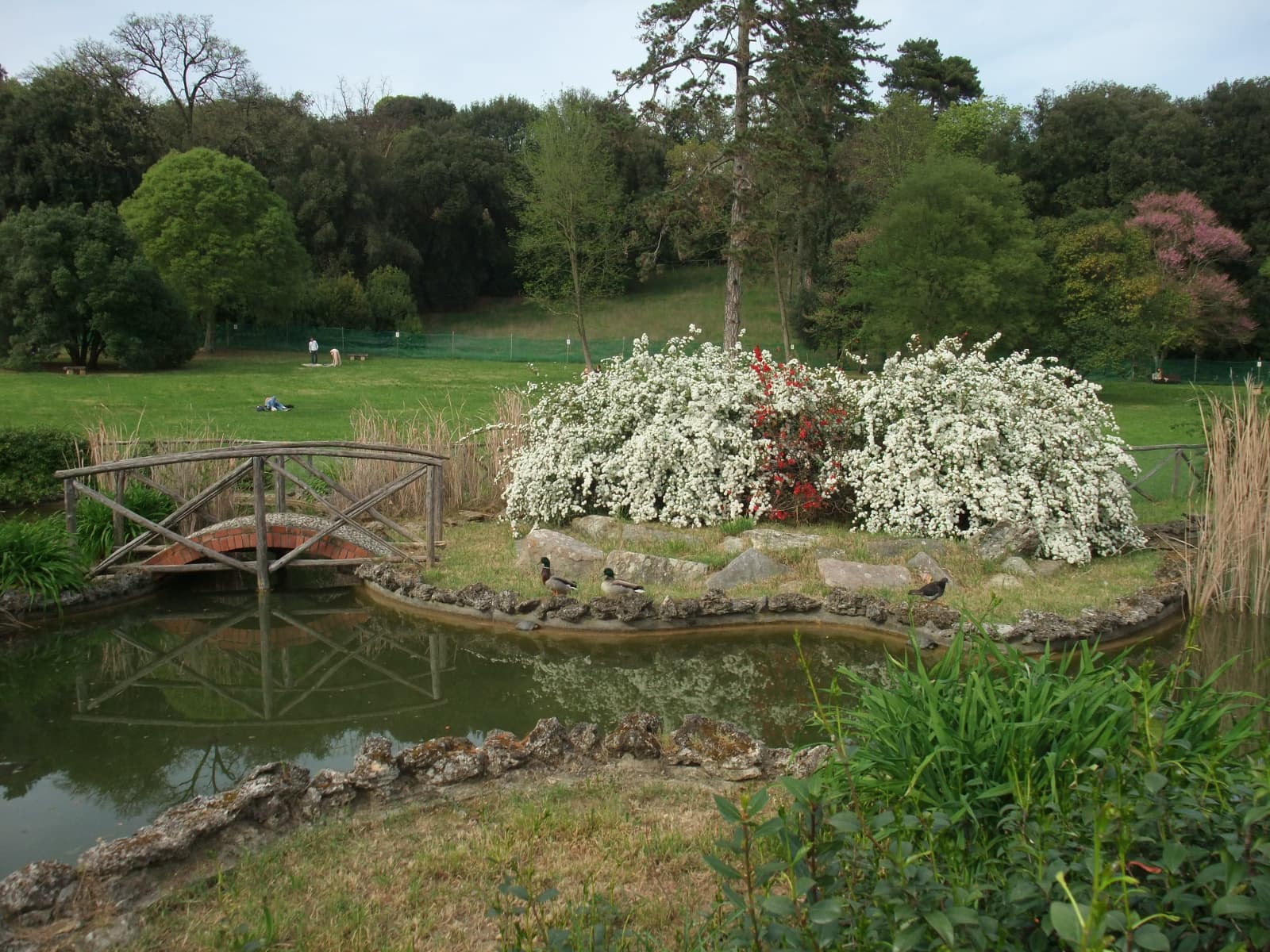 Une vue du parc