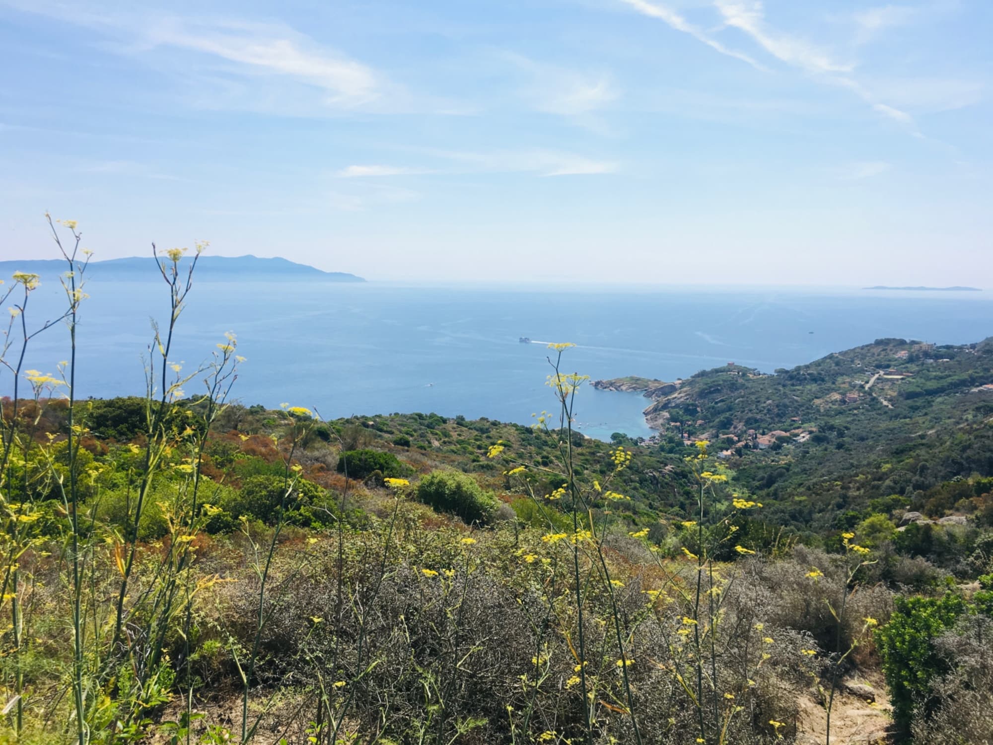 Isola del Giglio, mare e natura