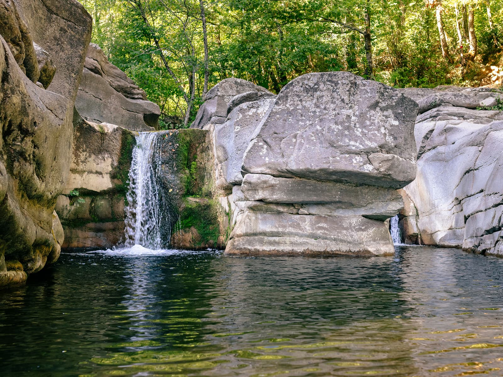 Riserva Naturale del torrente Farma