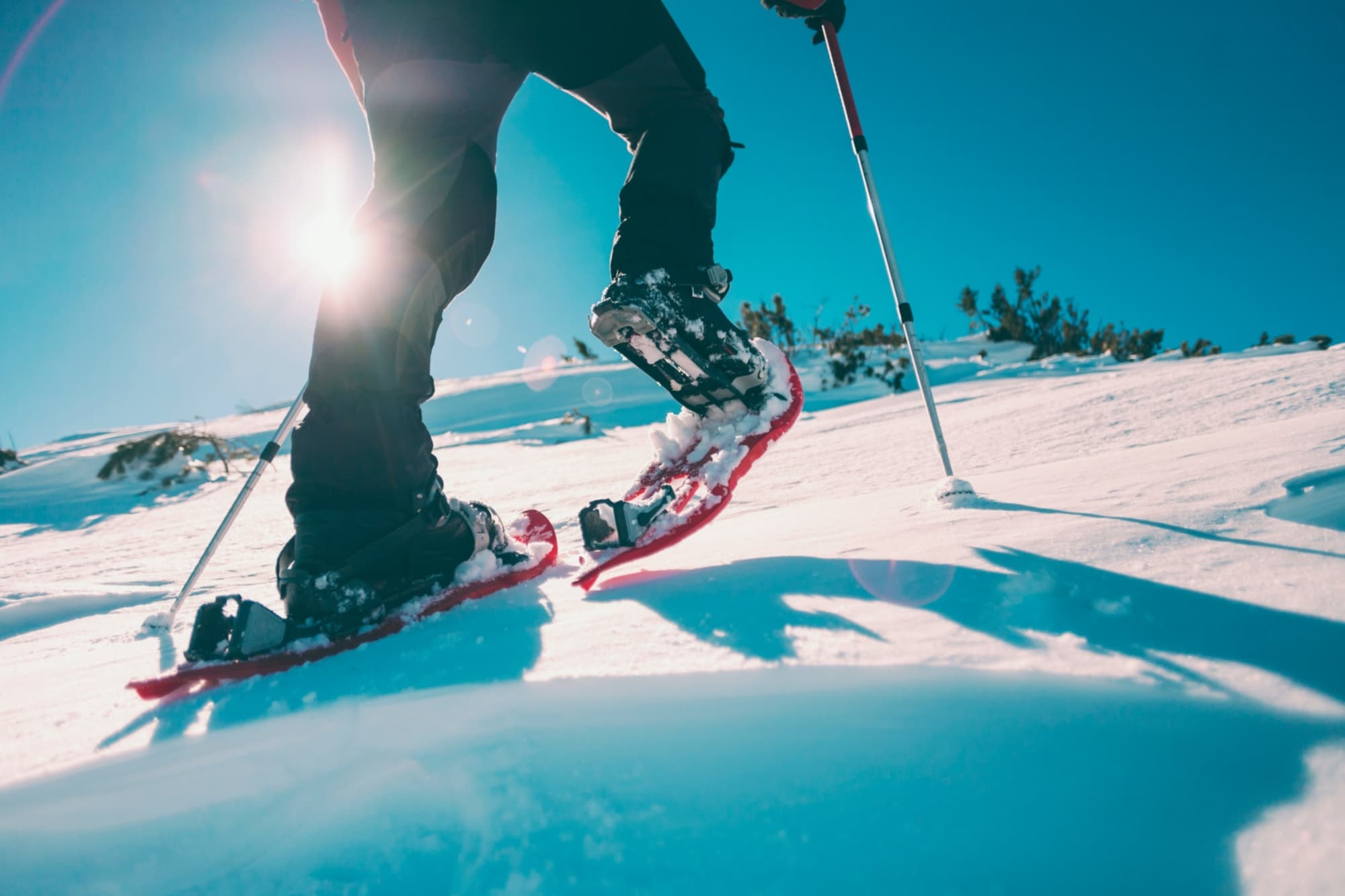 Excursión con las raquetas de nieve