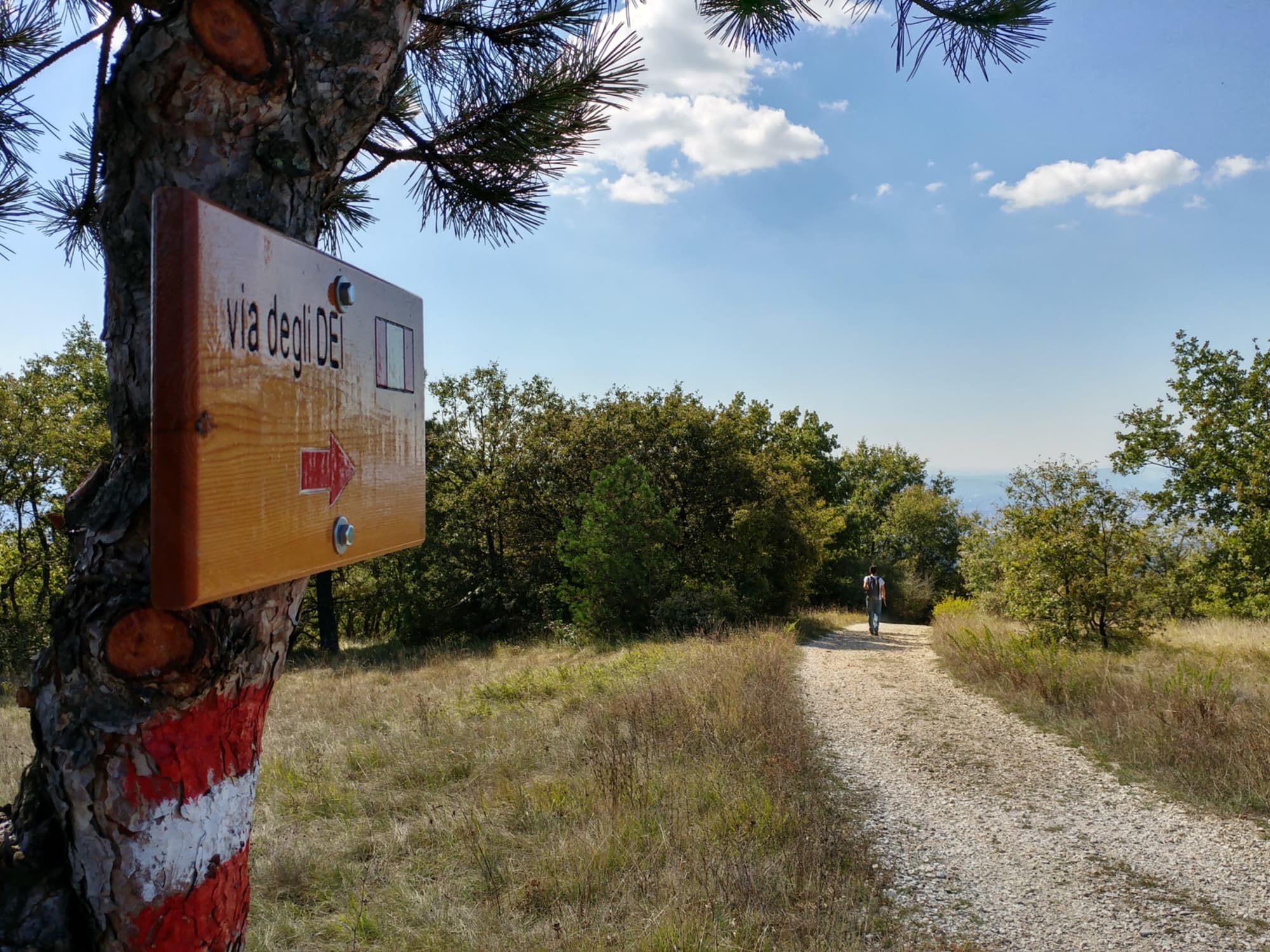 Via degli Dei trekking