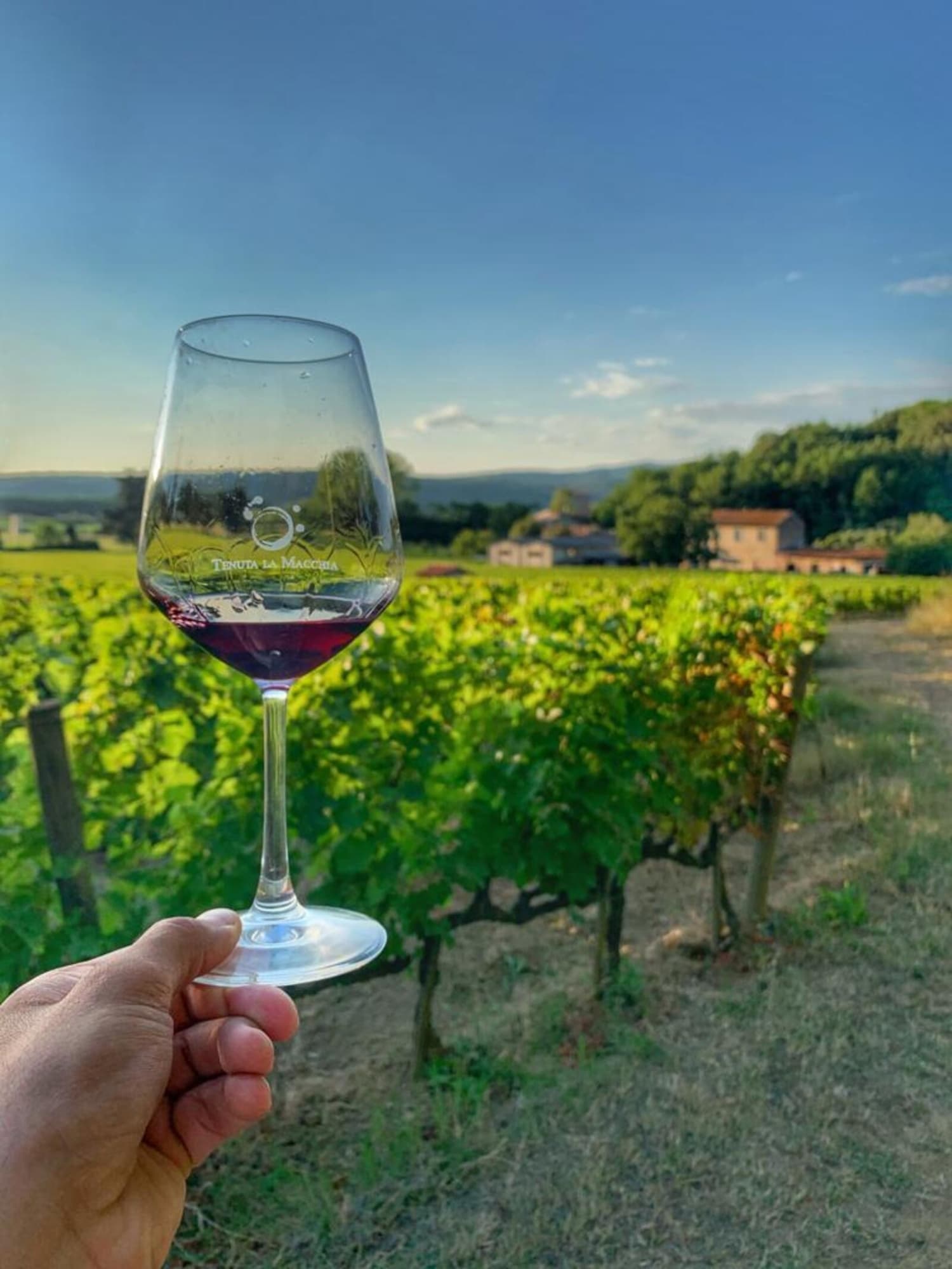 Degustazione a Tenuta La Macchia di Montescudaio