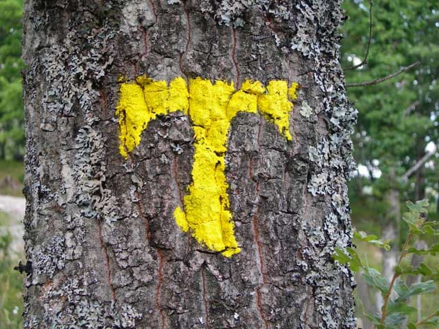 tau-giallo-cammino-san-francesco-valtiberina