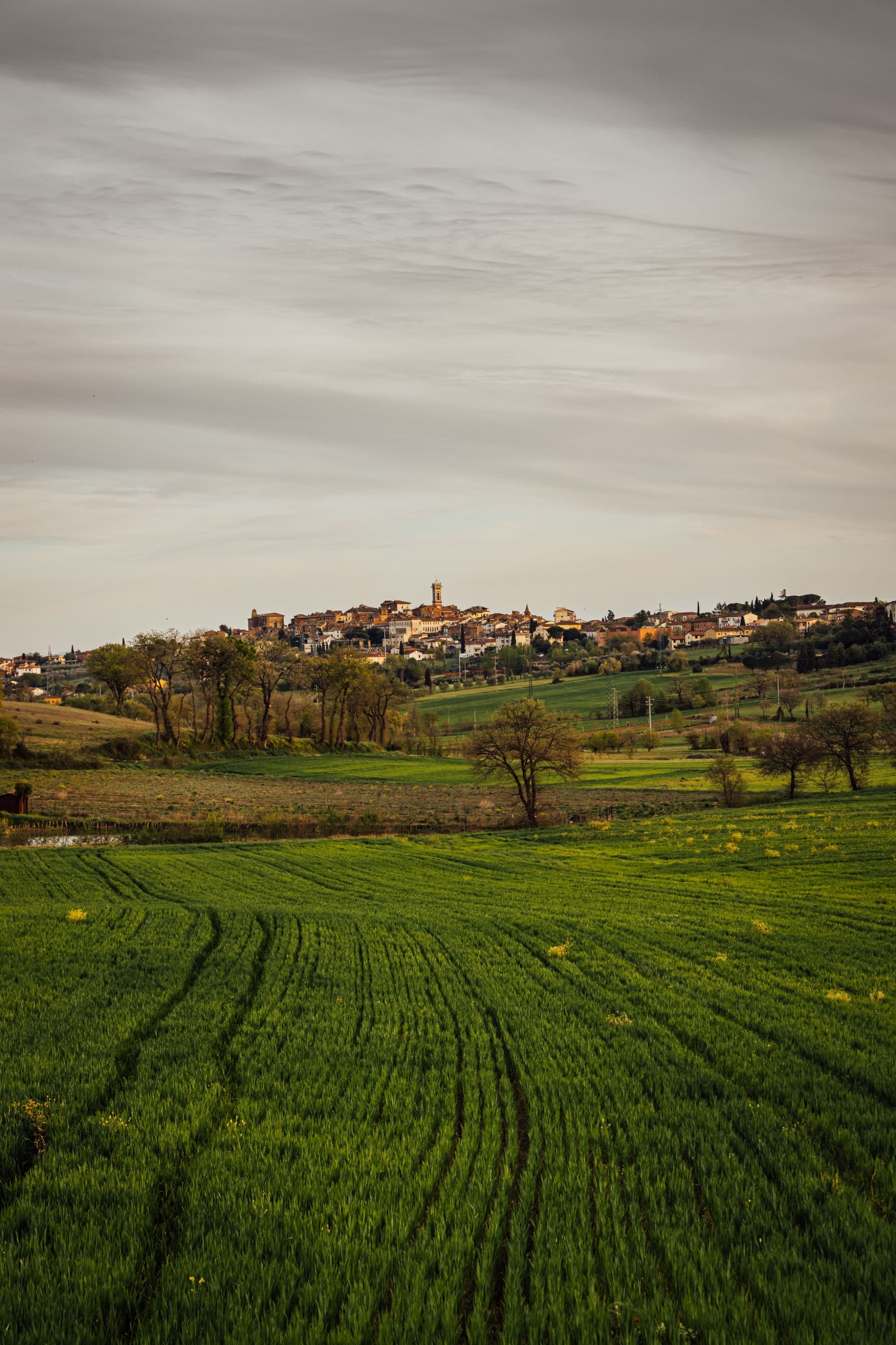 Percorso delle Bonifiche della Valdichiana