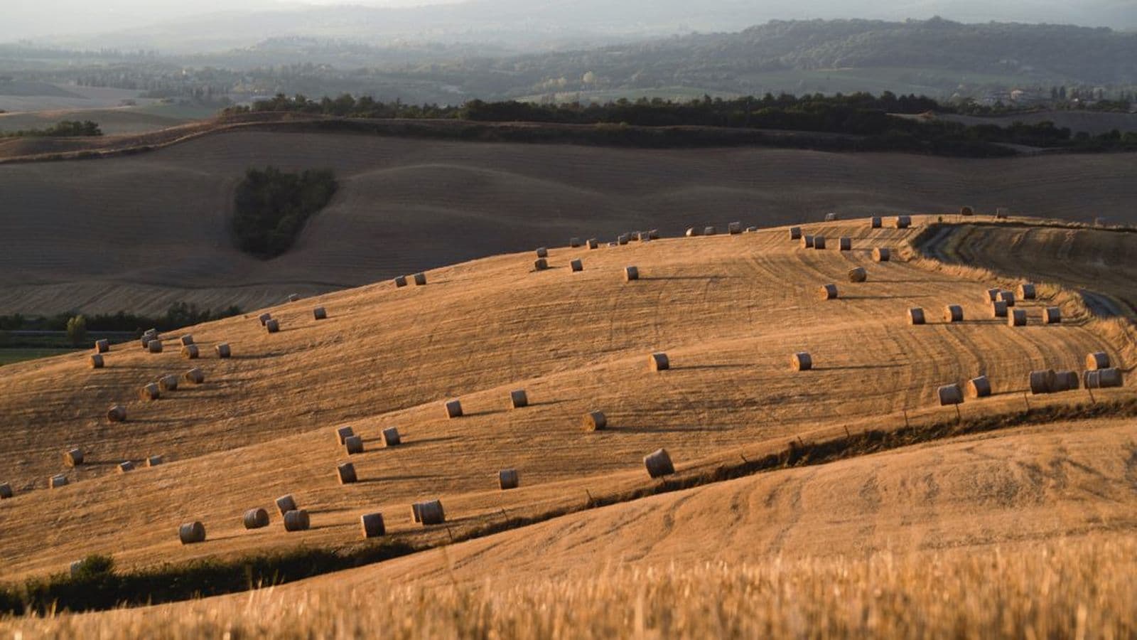 Die Crete Senesi