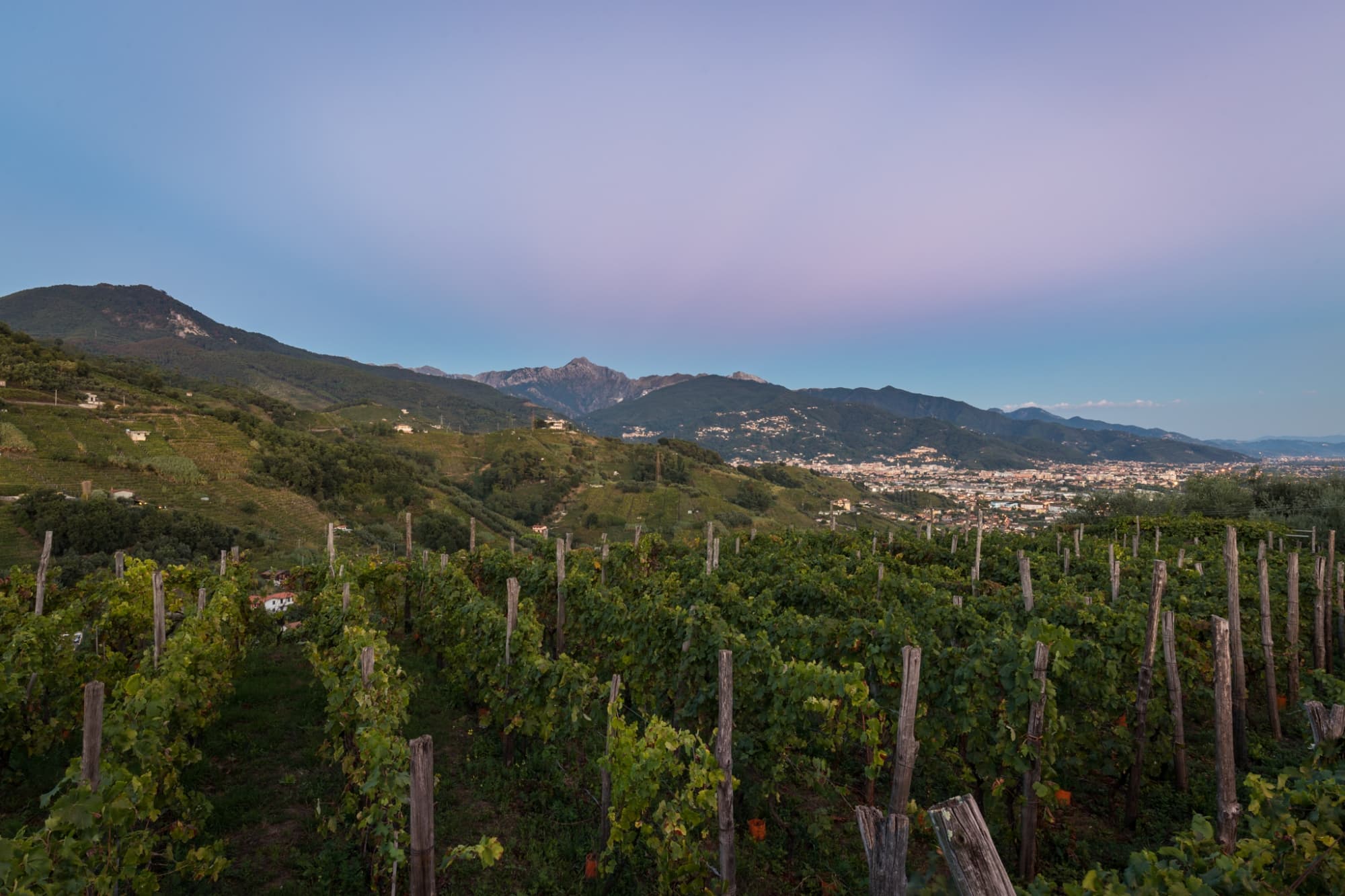 Colline de Candia