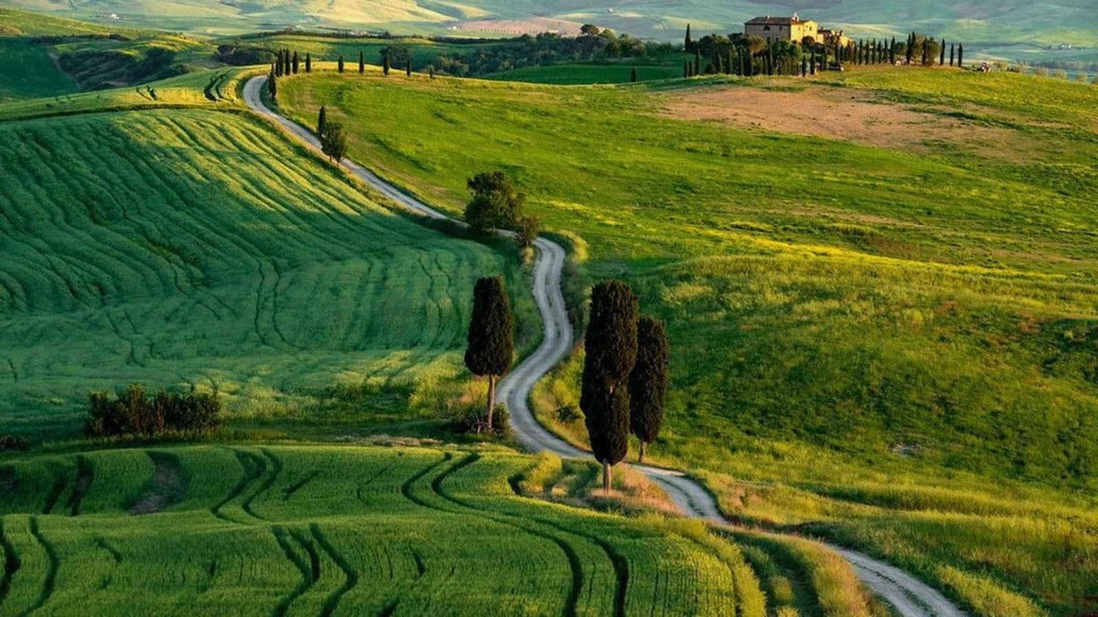 Rolling hills of Val d'Orcia with winding roads, cypress trees and a farmhouse on the hilltop