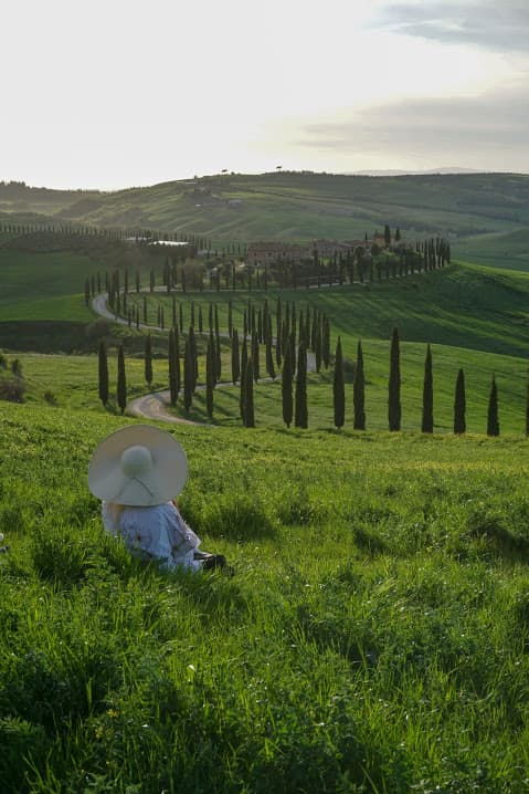 La strada dei cipressi nei pressi di Asciano