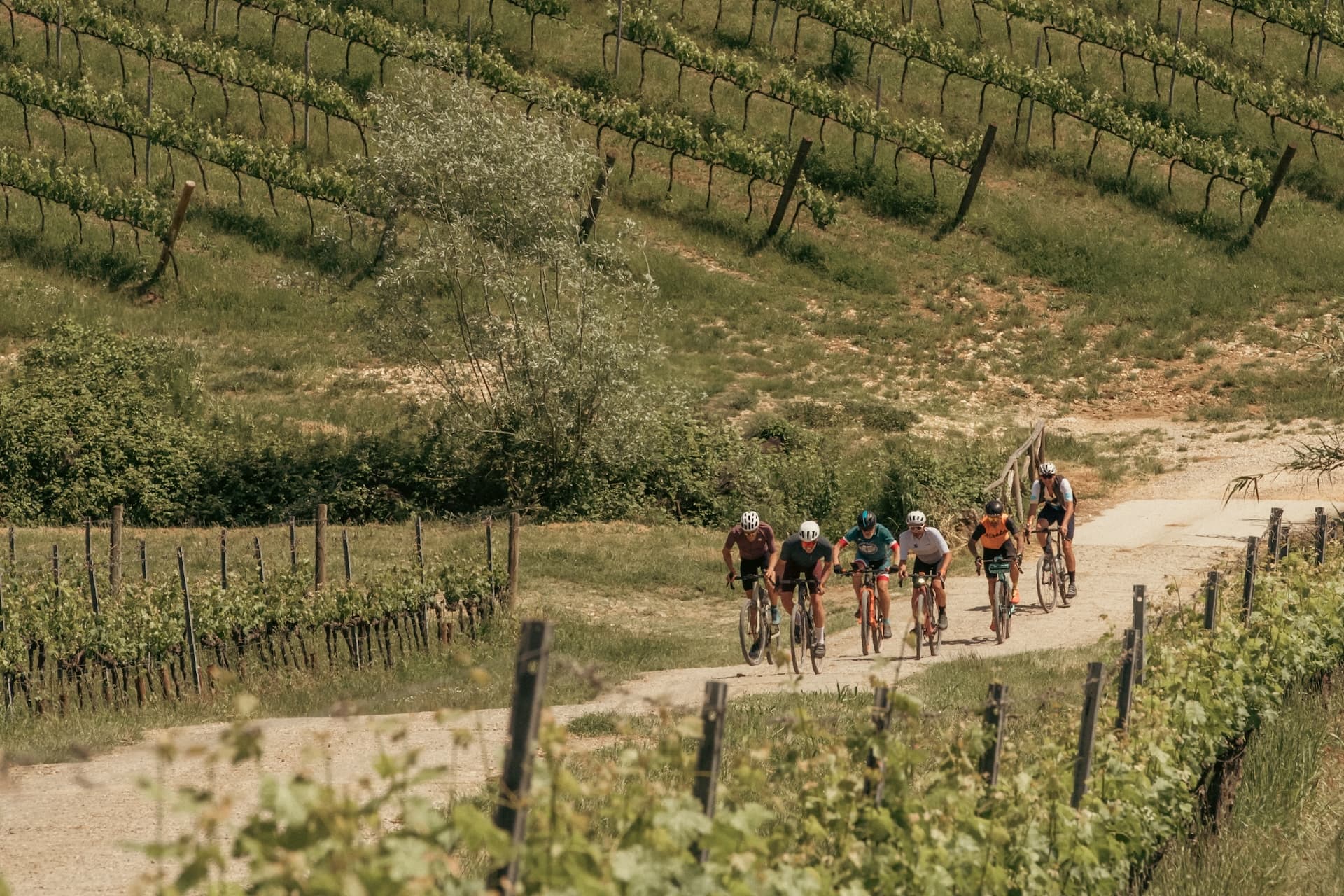 Un gruppo di ciclisti pedalano tra i vigneti del Chianti