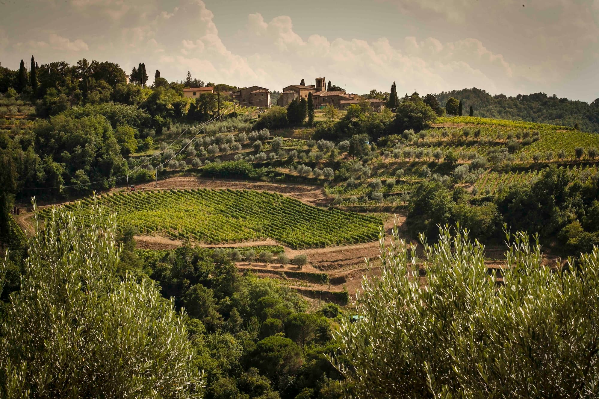Le colline di Lamole a Greve in Chianti