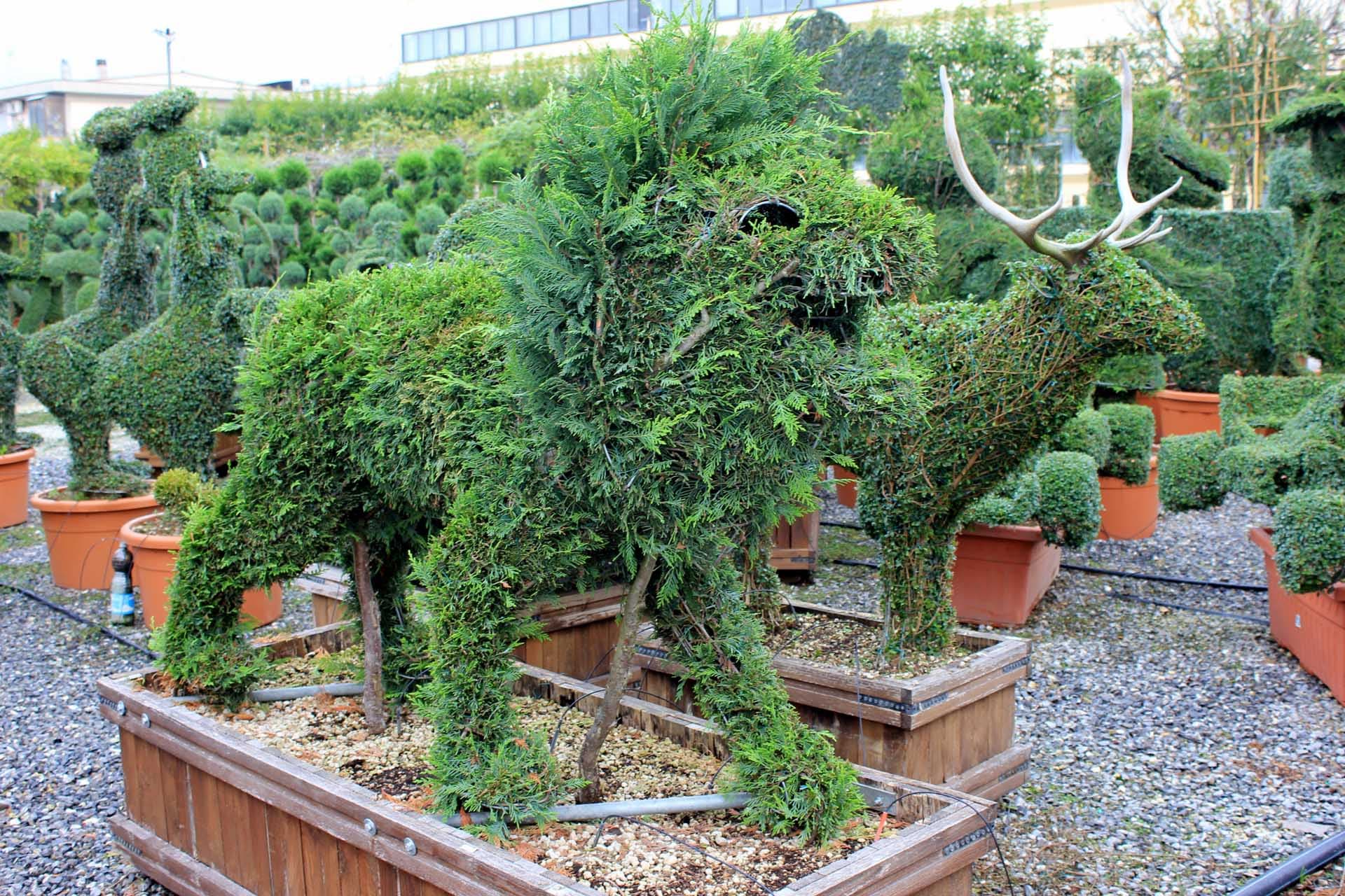 Sculture di piante e animali