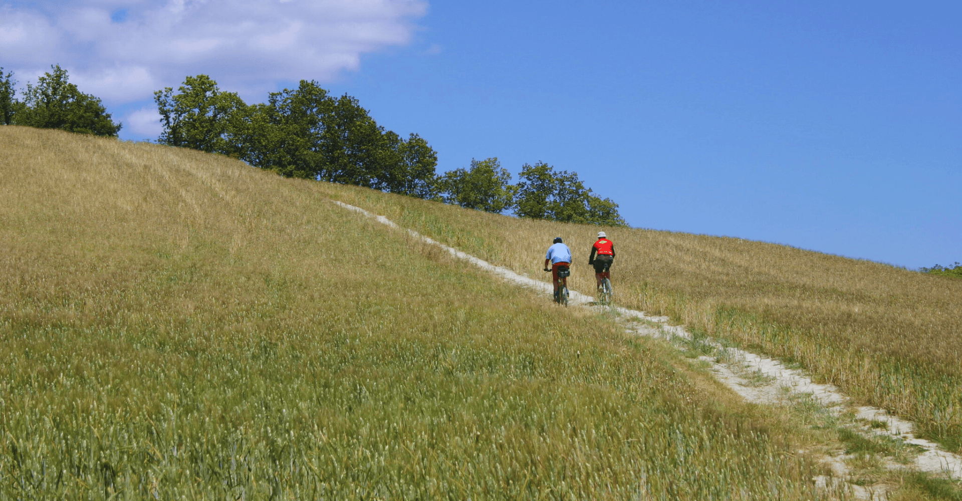 Cinco días en bicicleta en el Val d'Orcia 