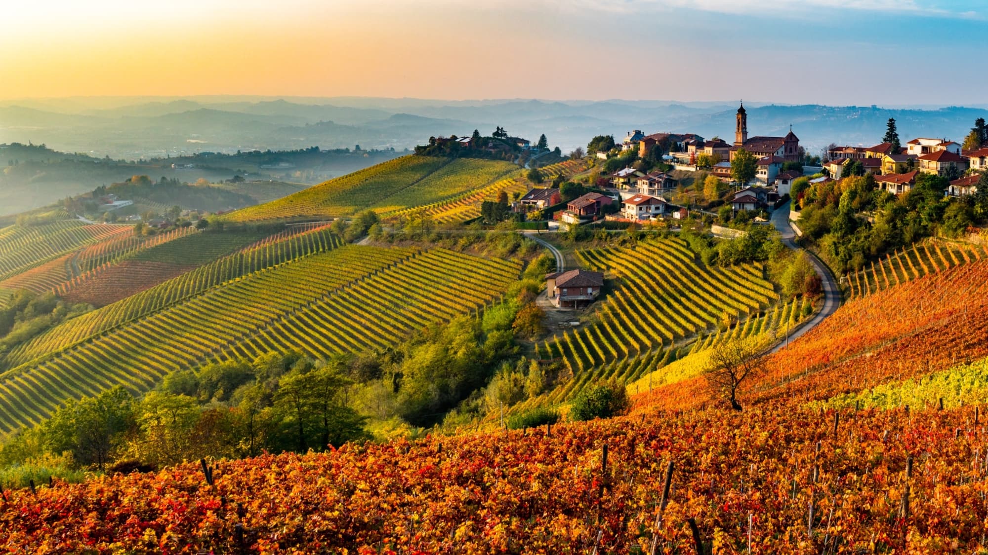 Chianti castles private tour with an Italian Count