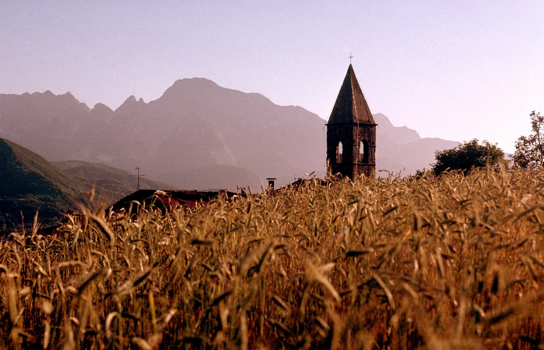 Orzaglia and Garfagnana PGI spelt
