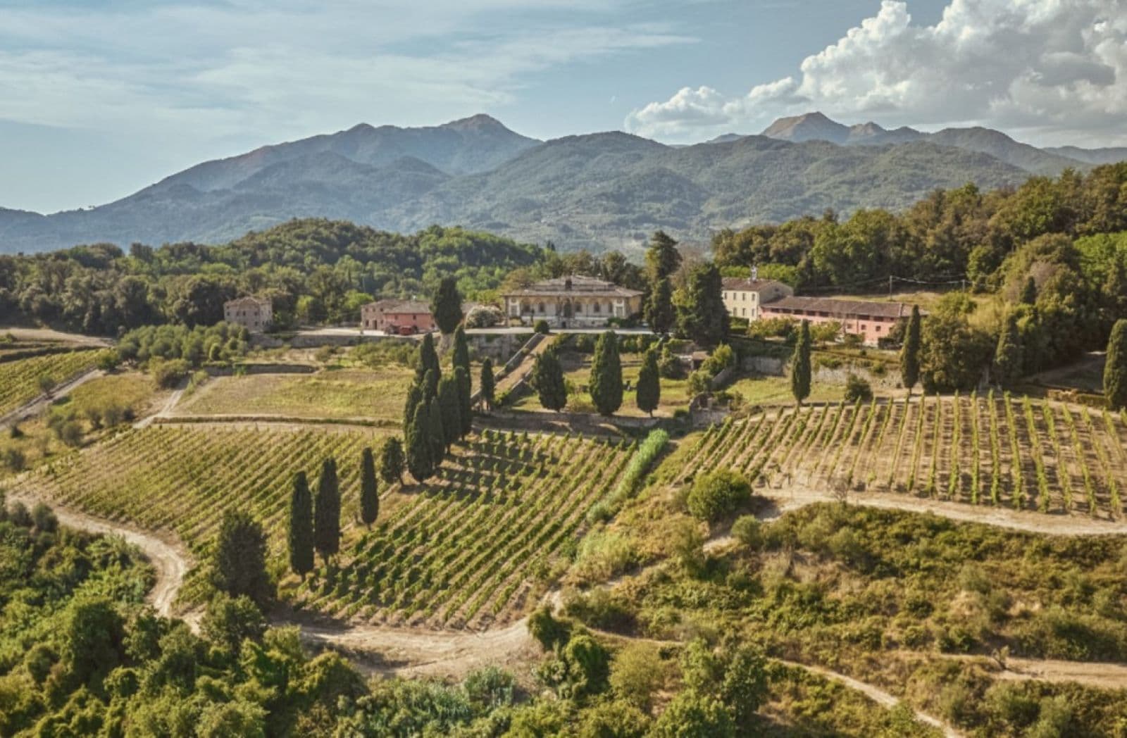 Forci experience: orchard & vineyard