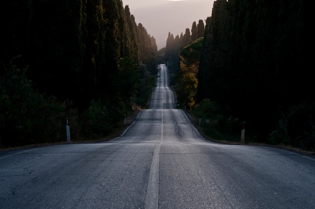 bolgheri-road