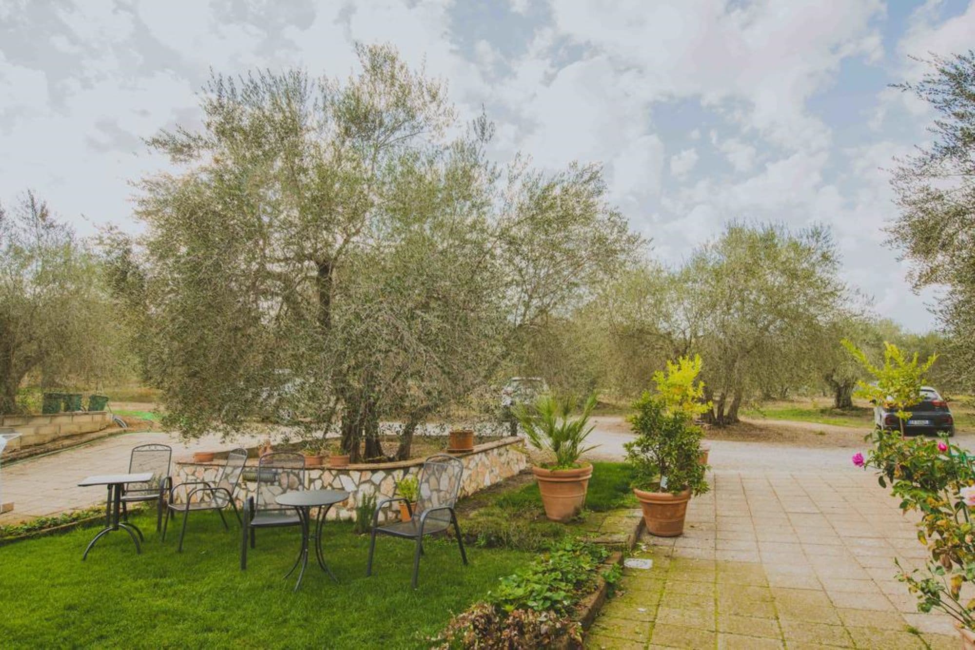 Soggiorno per 4 persone con degustazione di Olio Toscano IGP